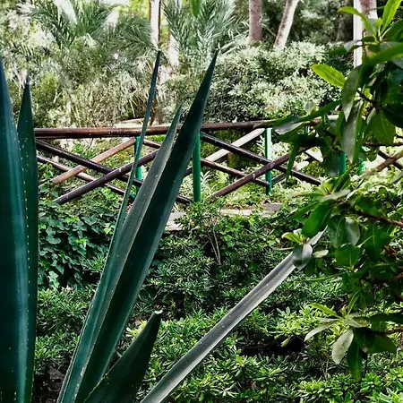 Gran Park 公寓 貝尼多姆