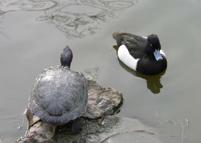 Gran Park Διαμέρισμα *