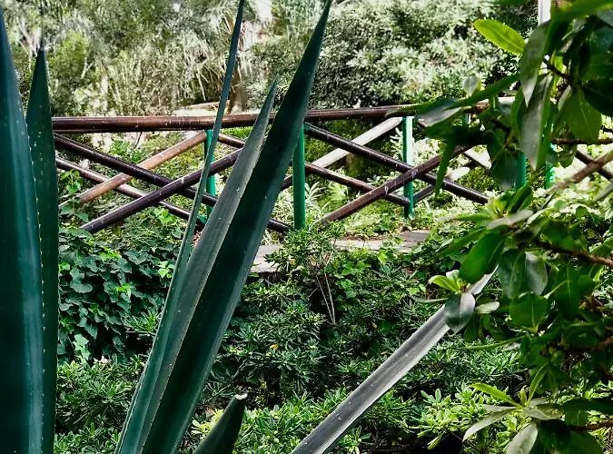 Gran Park דירה בנידורם